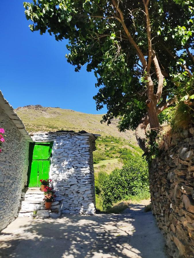 La Maestra Villa Trevélez Екстериор снимка