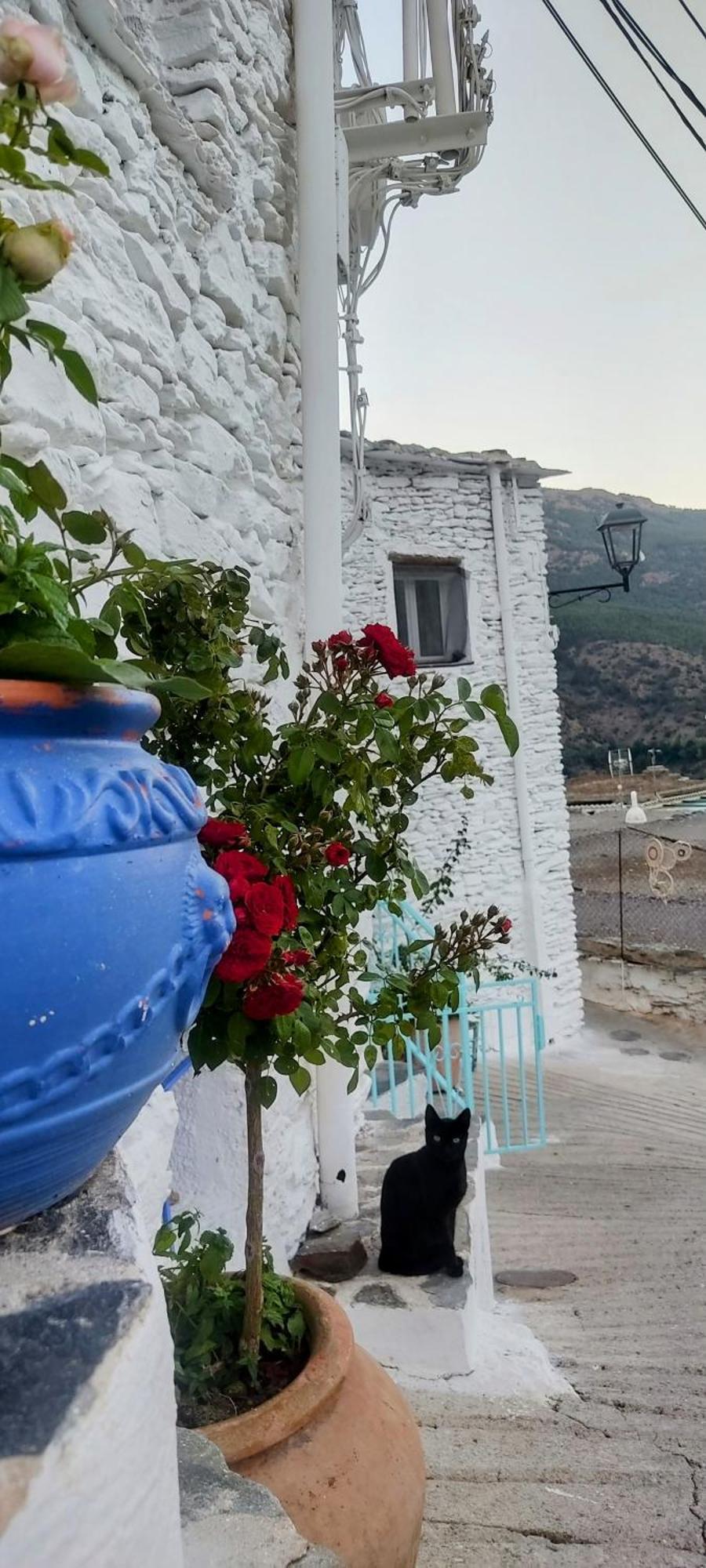 La Maestra Villa Trevélez Екстериор снимка